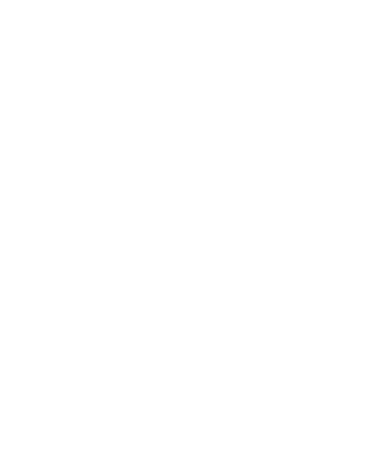 Bradford Soap Logo