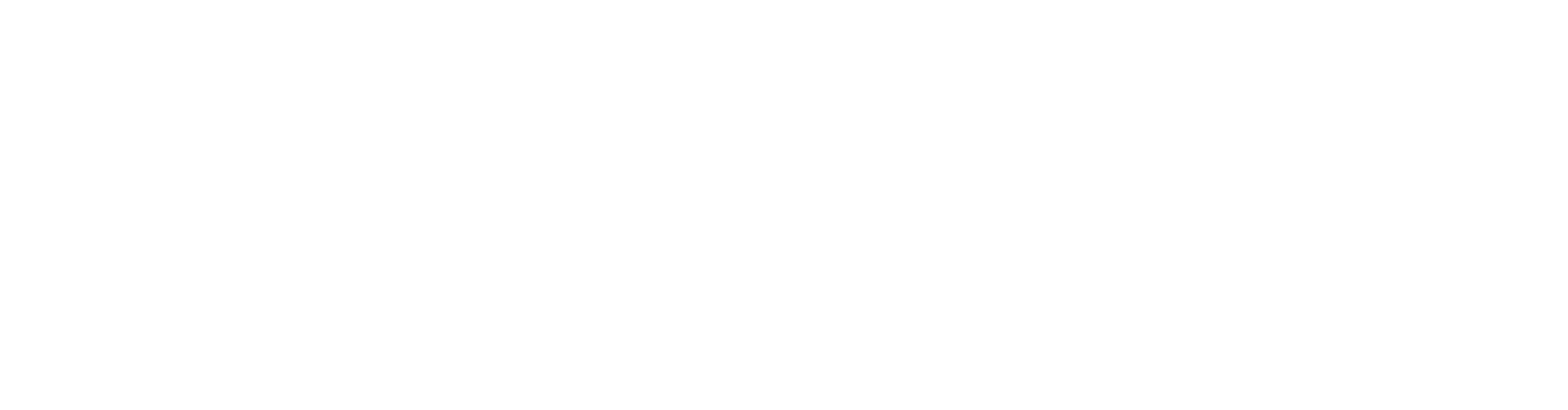 St Vincents Logo