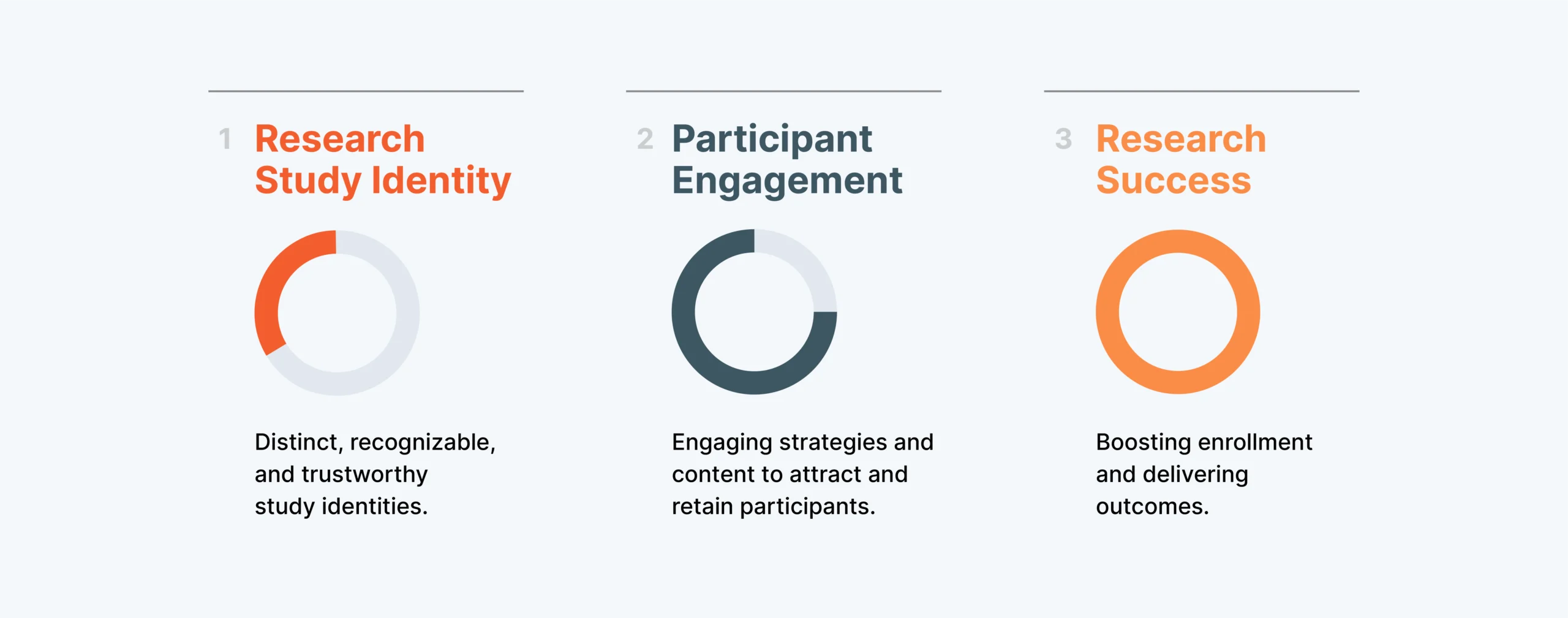 research identity process