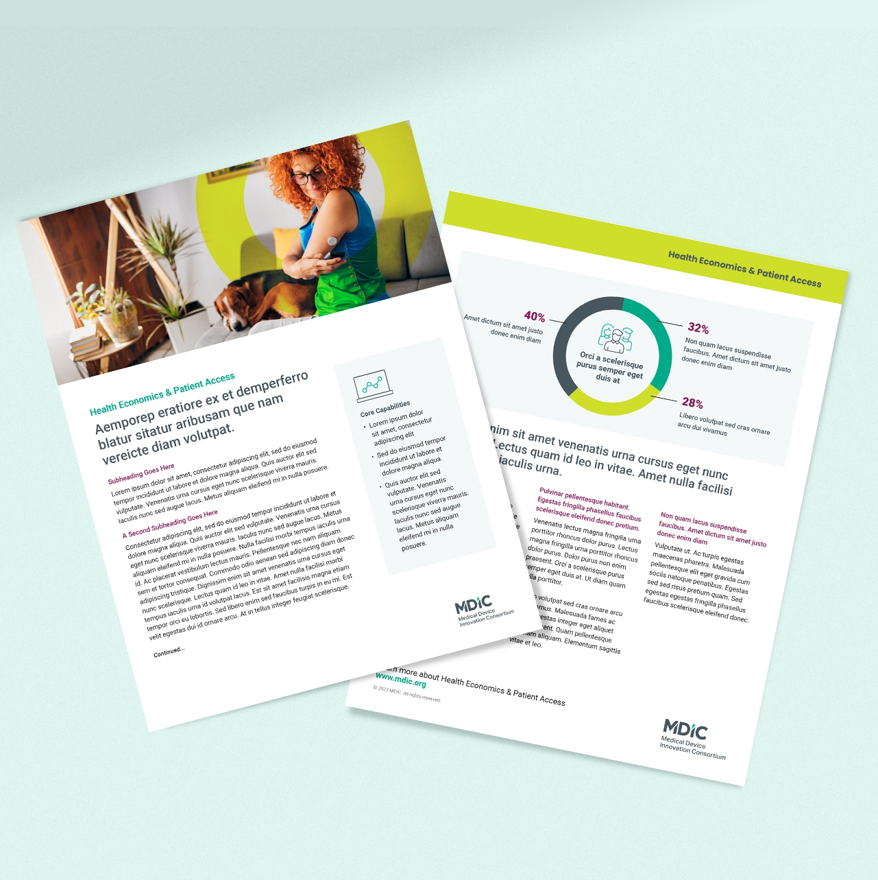 Medical Device Innovation Consortium (MDIC) sell sheet